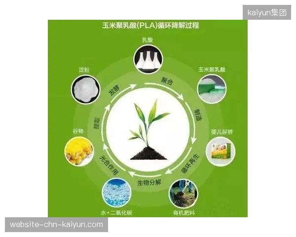 伪降解概念聚乳酸运动水壶暴露赛事赞助环保形式主义